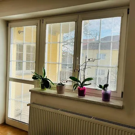 Harrison Homes 01 Terrace And Parking * Praga